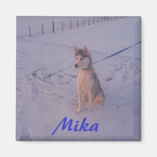 Husky.Mika.magneet Magneet