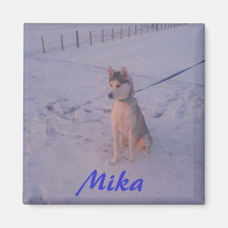 Husky.Mika.magneet Magneet