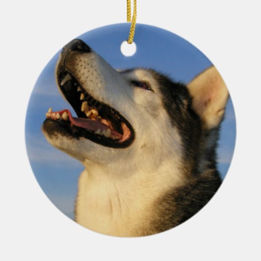 Husky Ornament (Voorkant)