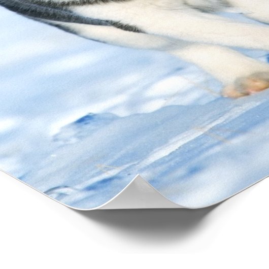 Husky Poster (Hoek)