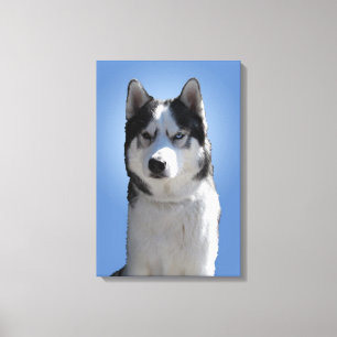 Husky Print Gestrekte Husky Malamute Hond Canvas