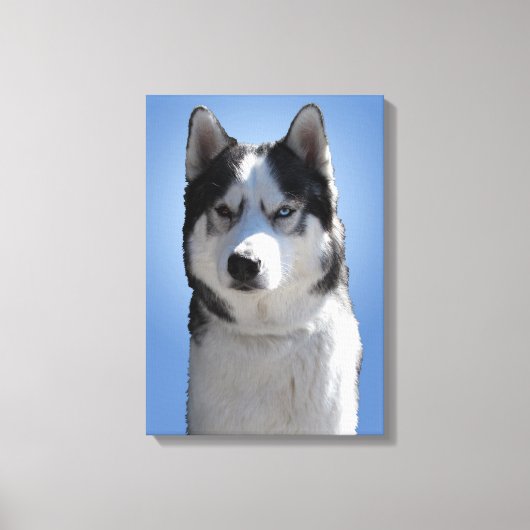 Husky Print Stretched Husky Malamute Dog Canvas (Voorkant)
