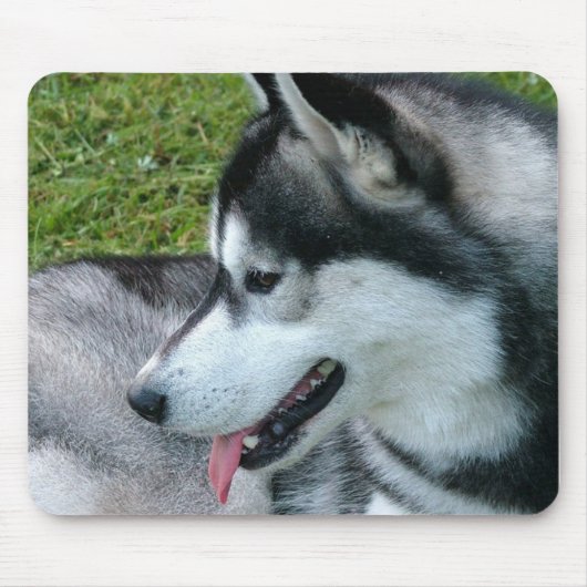 Husky Profile Muismat (Voorkant)