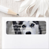 Husky Puppy Mailing Labels (Insitu)