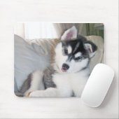 Husky Puppy Mousepad Muismat (Met muis)