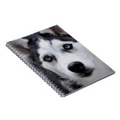 Husky Puppy Notebook Notitieboek (Rechterzijde)
