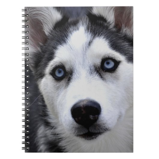 Husky Puppy Notebook Notitieboek (Voorkant)