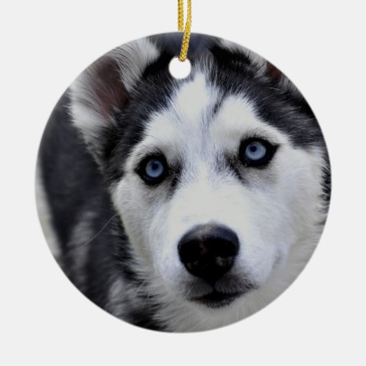 Husky Puppy Ornament (Voorkant)