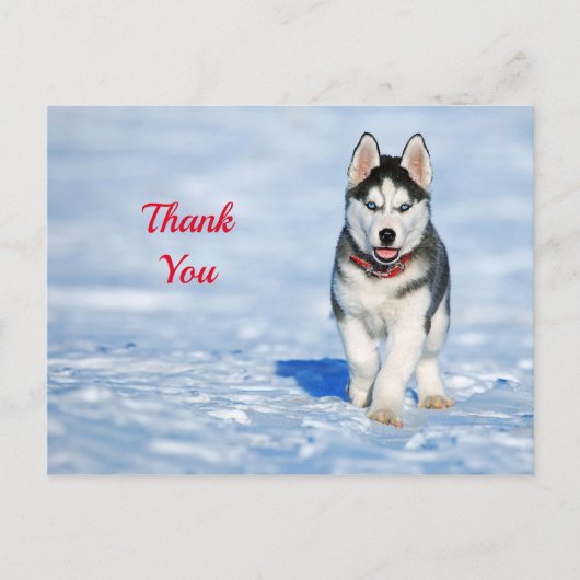 Husky Puppy Sneeuw Foto Bedankt Briefkaart (Voorkant)