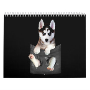 Husky   Siberië Husky in Pocket Puppy Kalender