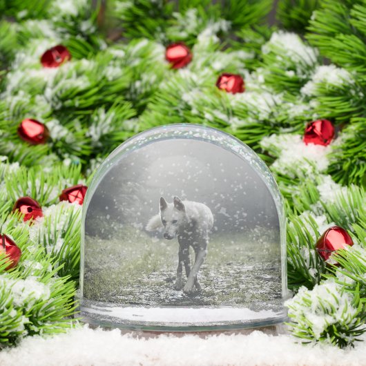 Husky Sibérien Blanc (Noël)