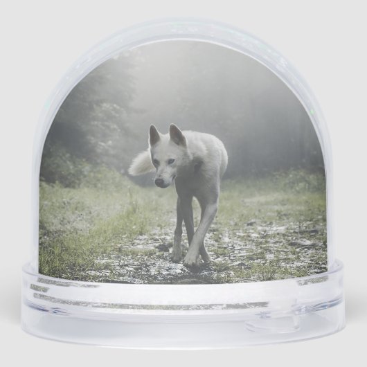 Husky Sibérien Blanc (Arrière)