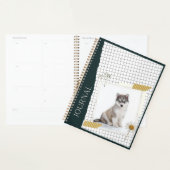 Husky sibérien Planeur (Devant avec enveloppe)
