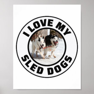 Husky Sled Dog Racing Alaskan Racers Poster