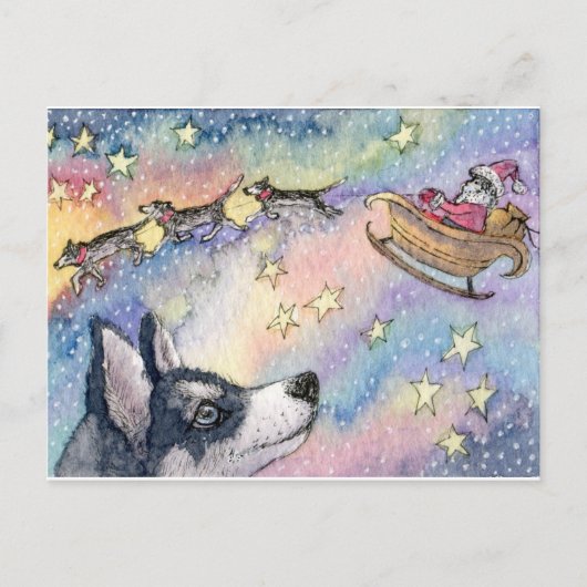 Husky Sleigh Dogs Briefkaart (Voorkant)