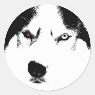 Husky Stickers Siberian Husky Malamute Stickers