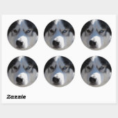 Husky Stickers Siberian Husky Malamute Stickers (Vel)