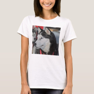 Huskyhond voor een race, Canada T-shirt