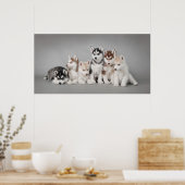 Huskys Poster (Keuken)