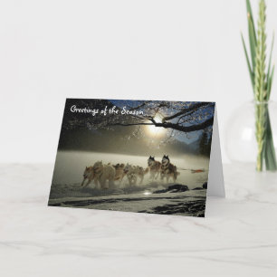 Husky's sleehonden kerstkaart Alaska Kaart