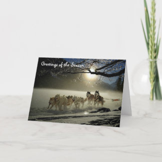 Husky's sleehonden kerstkaart Alaska Kaart