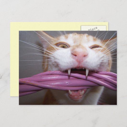 Hust Briefkaart (Voorkant / Achterkant)