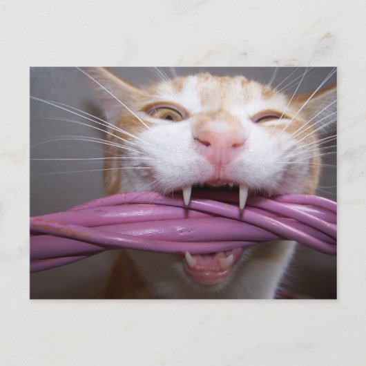 Hust Briefkaart (Voorkant)