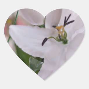 huwelijk witte lelie bloemen bloem flora liefde wi hart sticker