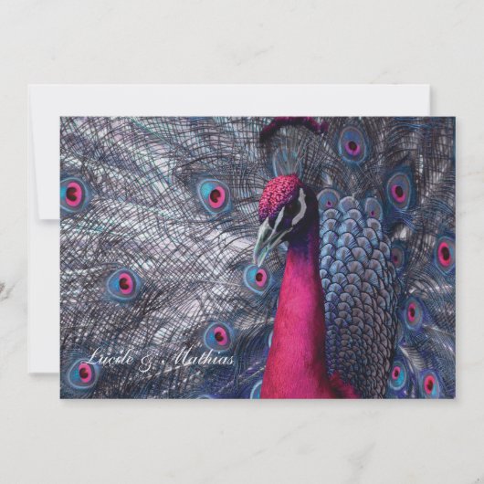 Huwelijksaankondiging Pauw Kaart (Voorkant)