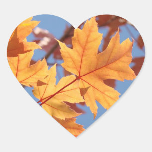 Huwelijksenvelopzegels Uitnodigingskaarten Herfst Hart Sticker