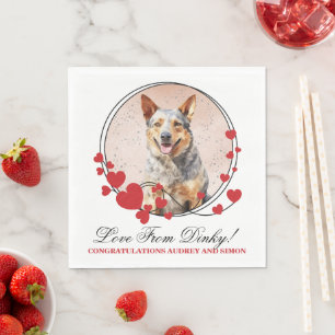 Huwelijksfoto Australische Cattle Dog Servet