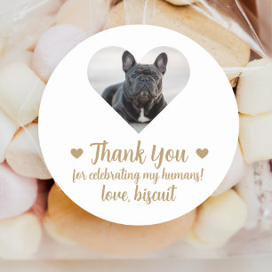 Huwelijksgunststickers met eigen foto van hond ronde sticker