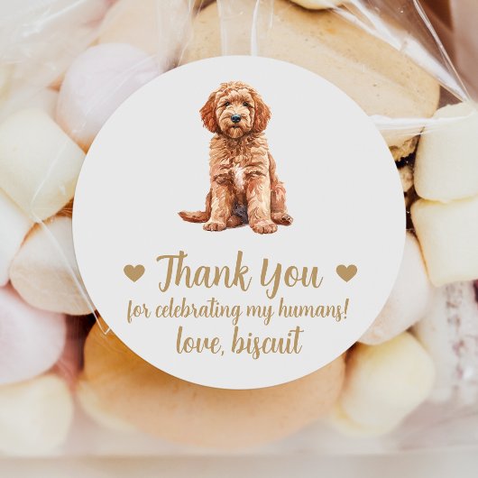 Huwelijksgunststickers op maat voor Goldendoodle-h Ronde Sticker