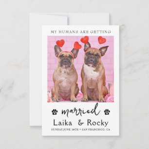 Huwelijksuitnodiging voor honden save the date