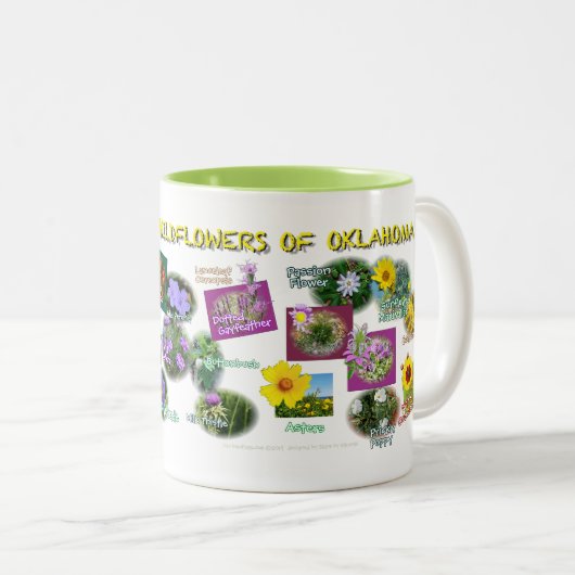 hv19 Oklahoma Wildbloemen mok (Voorkant rechts)