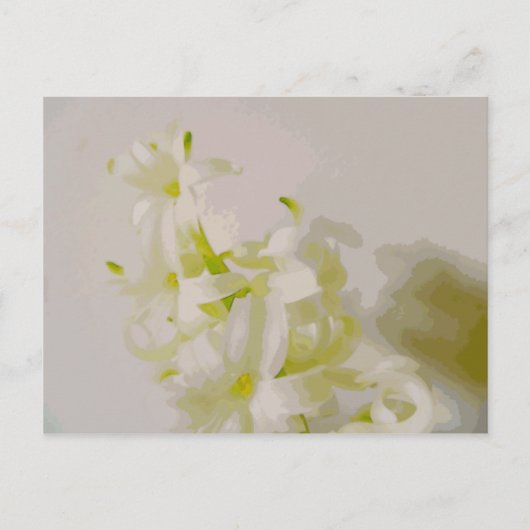 Hy canvas briefkaart (Voorkant)