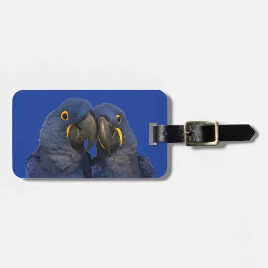 Hyacinne Macaw Parrot Rare Blue Bagagelabel (Voorkant horizontaal)
