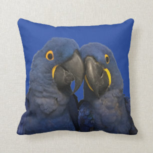 Hyacinne Macaw Parrot Rare Blue Kussen