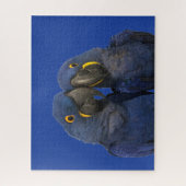 Hyacinne Macaw Parrot Rare Blue Legpuzzel (Verticaal)