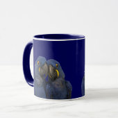 Hyacinne Macaw Parrot Rare Blue Mok (Voorkant links)