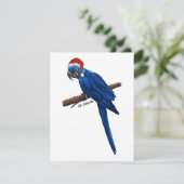 Hyacint ara - kerstkaart (Staand voorkant)