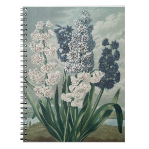 Hyacinten (1807) - Exquise  botanische Notitieboek