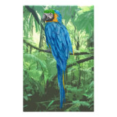 Hyacinth Ara Ontwerp Foto Vergroting Foto Afdruk (Voorkant)