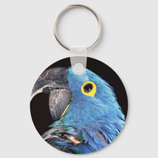 Hyacinth Ara Sleutelhanger (Voorkant)