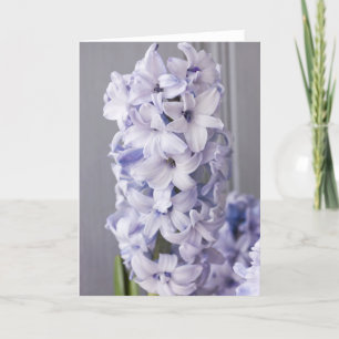 Hyacinth Card Feestdagen Kaart