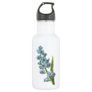 hyacinth (Hyacinthus sp.) van Redouté Waterfles