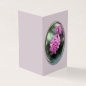 Hyacinth in spring (Outside)