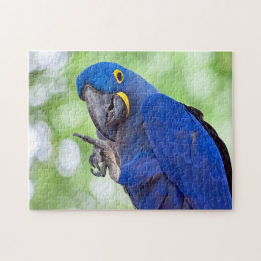 Hyacinth Macaw Bird Legpuzzel (Horizontaal)
