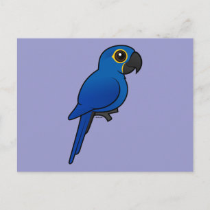 Hyacinth Macaw Briefkaart