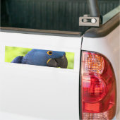Hyacinth Macaw Bumpersticker (Op Truck)